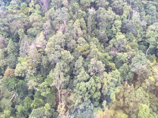 17373261_10154288051022617_360254158_o